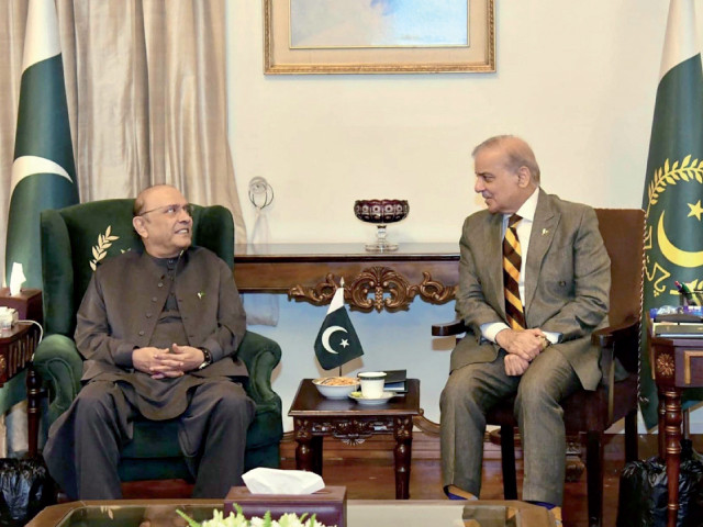PM Shehbaz to consult president, ministers over K-P political, security situation