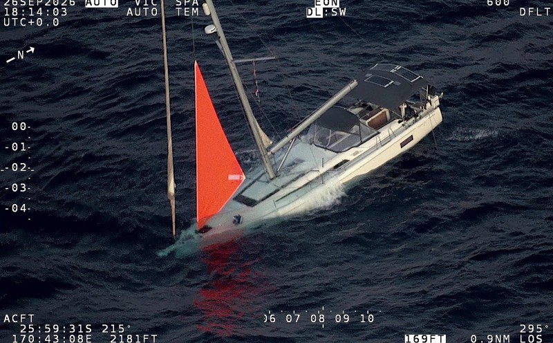'Loud thud': Sperm whale sinks yacht in South Pacific