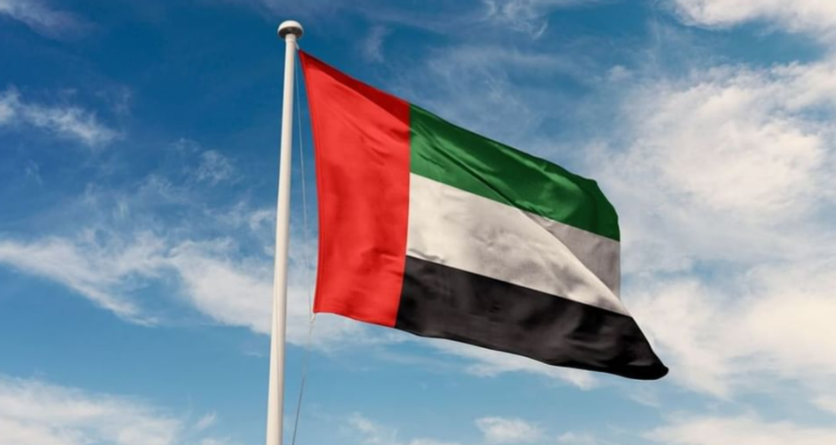 UAE thanks Saudi Arabia for cooperation in Flydubai incident, launches investigation
