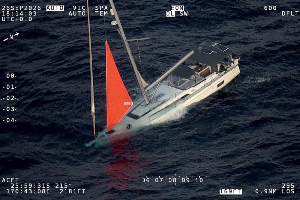 ‘Loud thud’: Sperm whale rams yacht in South Pacific, forcing four sailors into overnight ordeal