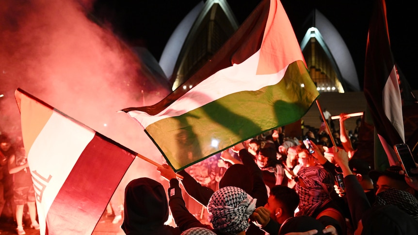Inquiry told actions of pro-Palestinian protesters in Sydney were 'appalling'