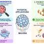Machine learning detects bacterial invasion and DNA damage in human cells