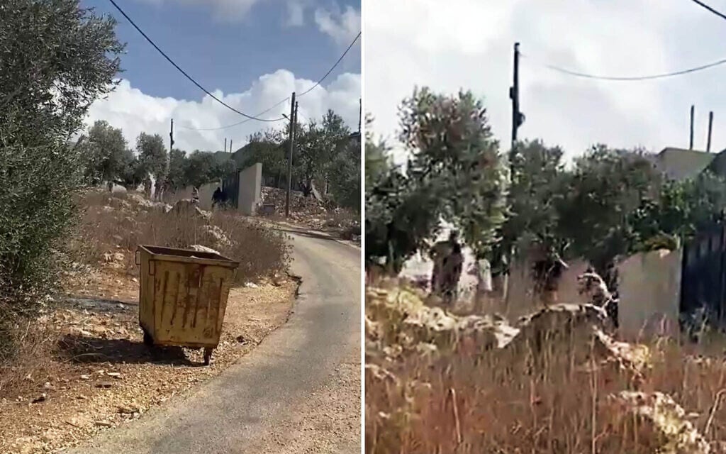 Palestinian reportedly shot dead by settlers in West Bank amid olive harvest clashes