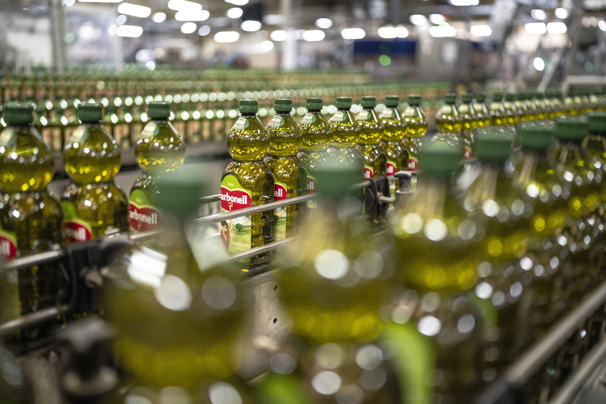 Funds CVC and Alchemy set a deadline for the sale of Deoleo