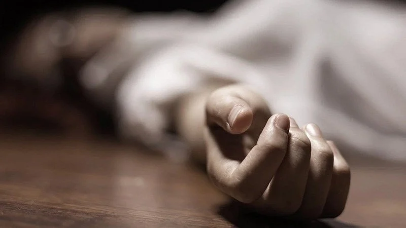 Fatal Crash: SUV Hits Pole At Around 100 Kmph, Overturns; Driver Dies In Indore
