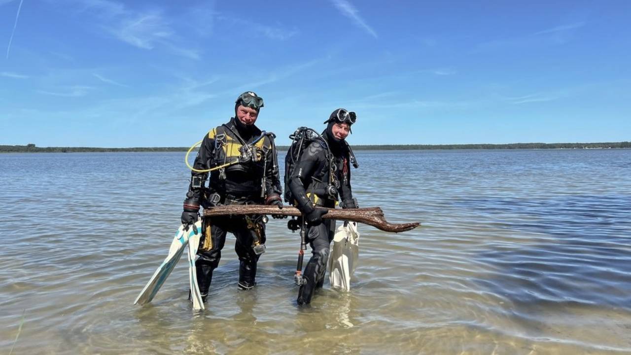 10,500-year-old wood found 20m deep in Germany's Lake Arendsee