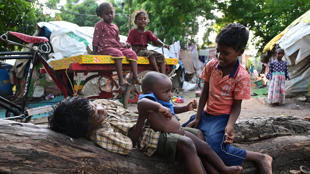 Marginalised Yanadi and Chenchu communities in Andhra Pradesh struggle for land