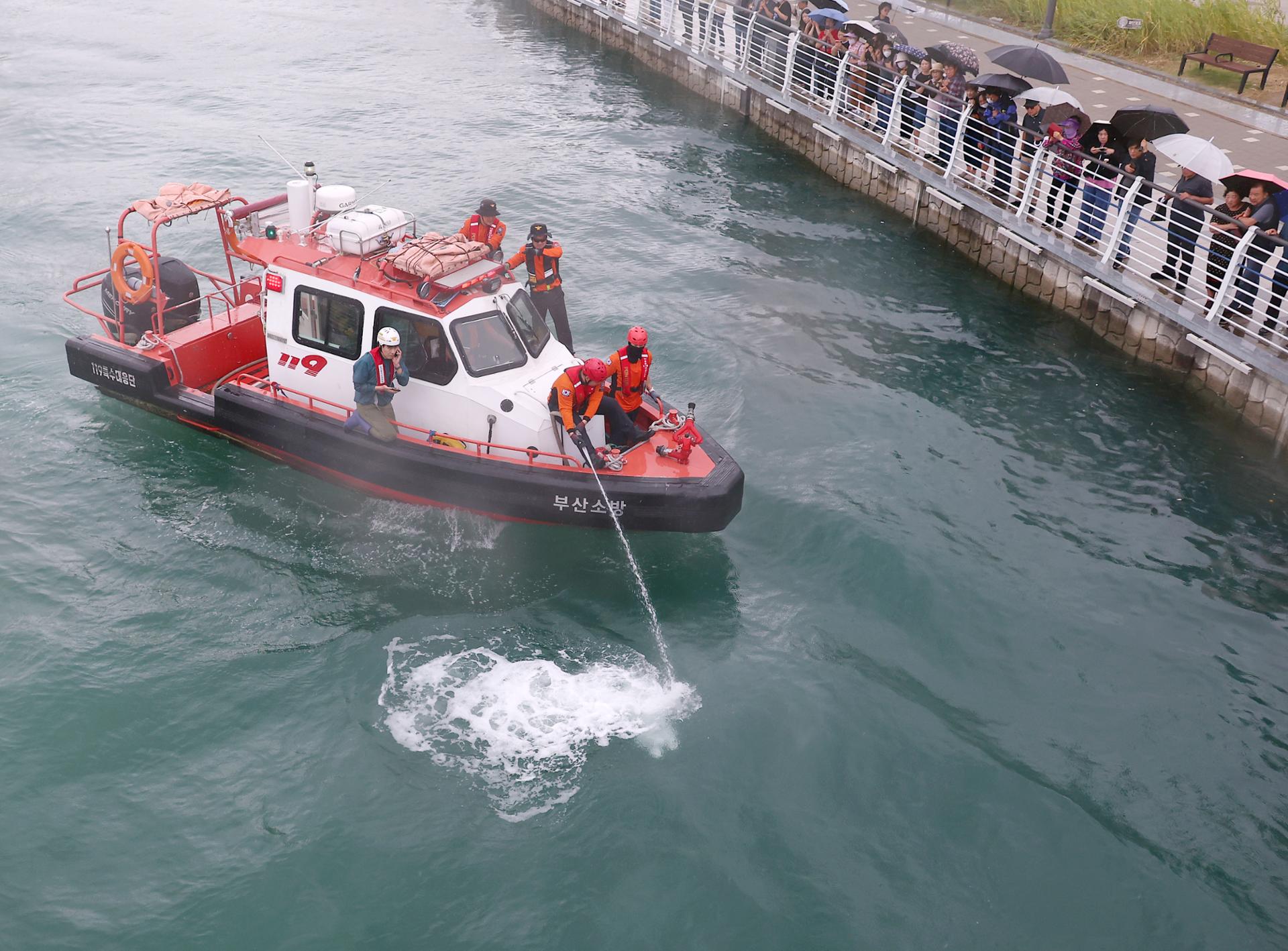 Rescue operation for Busan shark set to resume