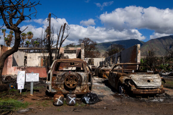Study: Residents Near Maui Wildfires Show Elevated Metals Linked to Lung Health Impacts