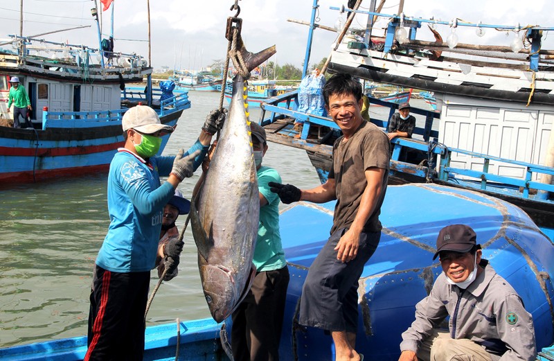 Vietnam’s maritime potential held back by infrastructure and planning gaps