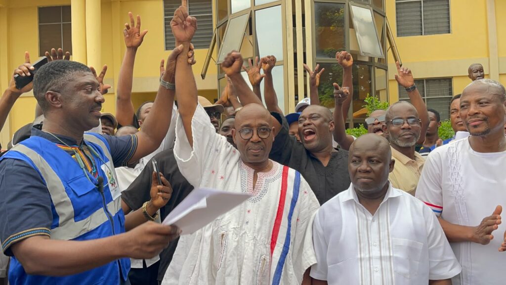 NPP polls: Makafui Woanya re-elected as Volta Regional Chairman