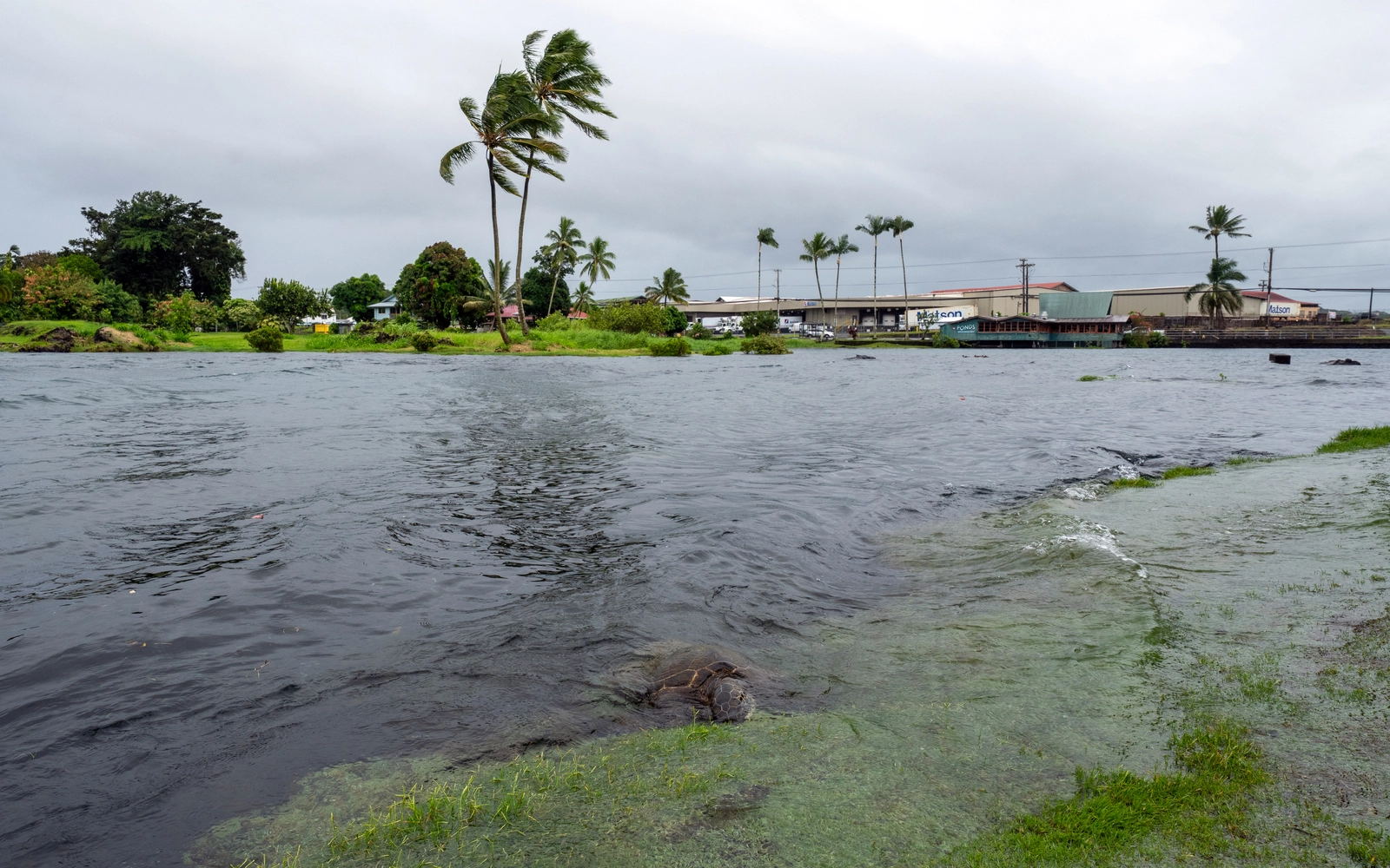 Hurricane Lala lashes Hawaii with heavy rain, strong winds