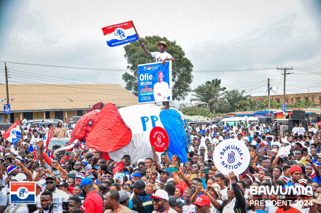 NPP sets up 31 voting centres for national executive elections