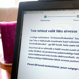 Estonia pushes for cybersecurity boost ahead of elections