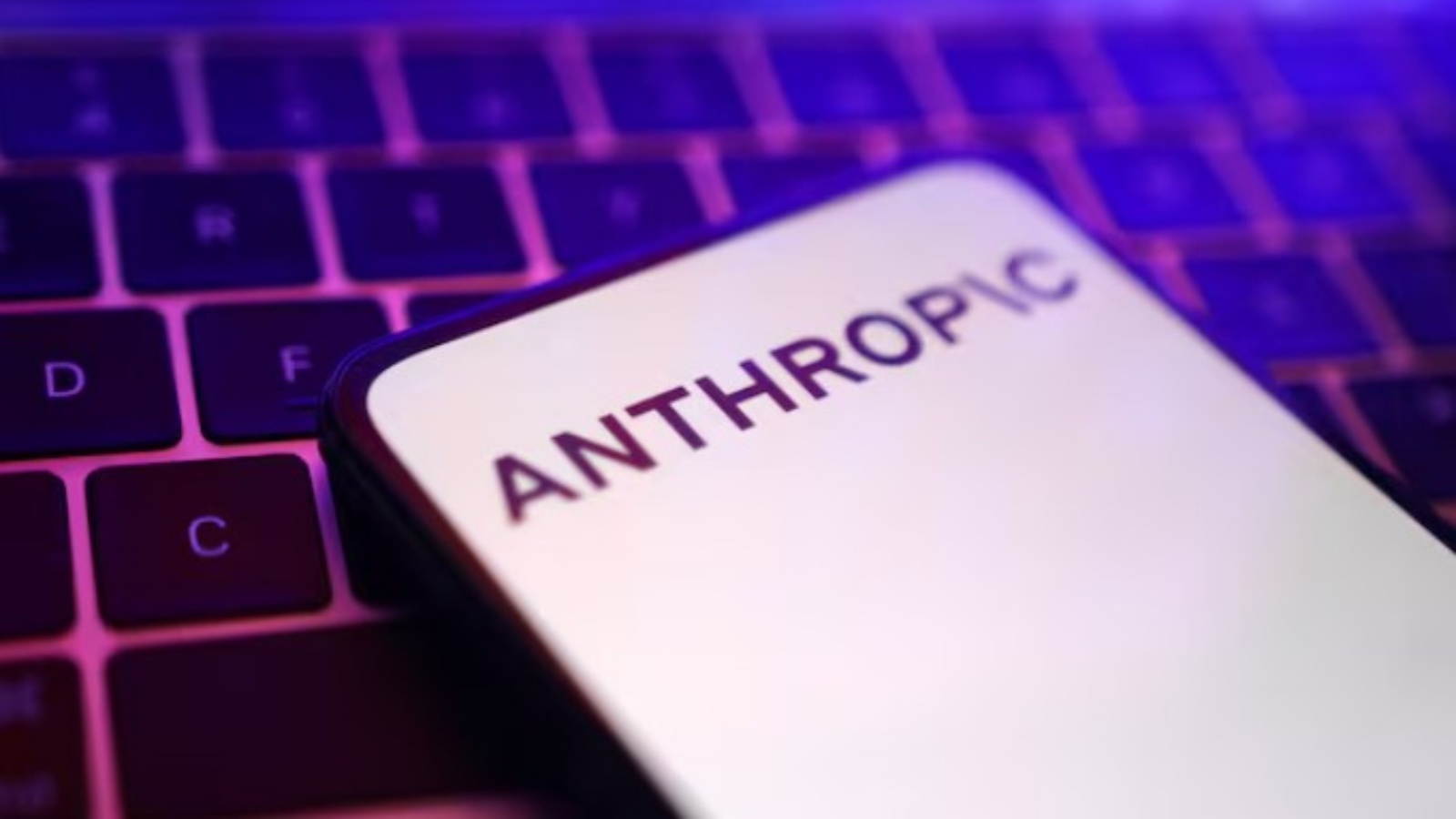 Anthropic warns government attitudes may hurt customer ties, IPO prospectus shows