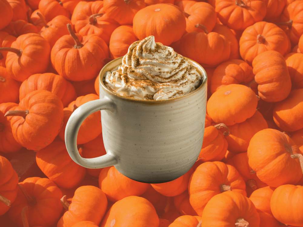 5 cosy Dubai spots to grab a pumpkin spice latte this autumn