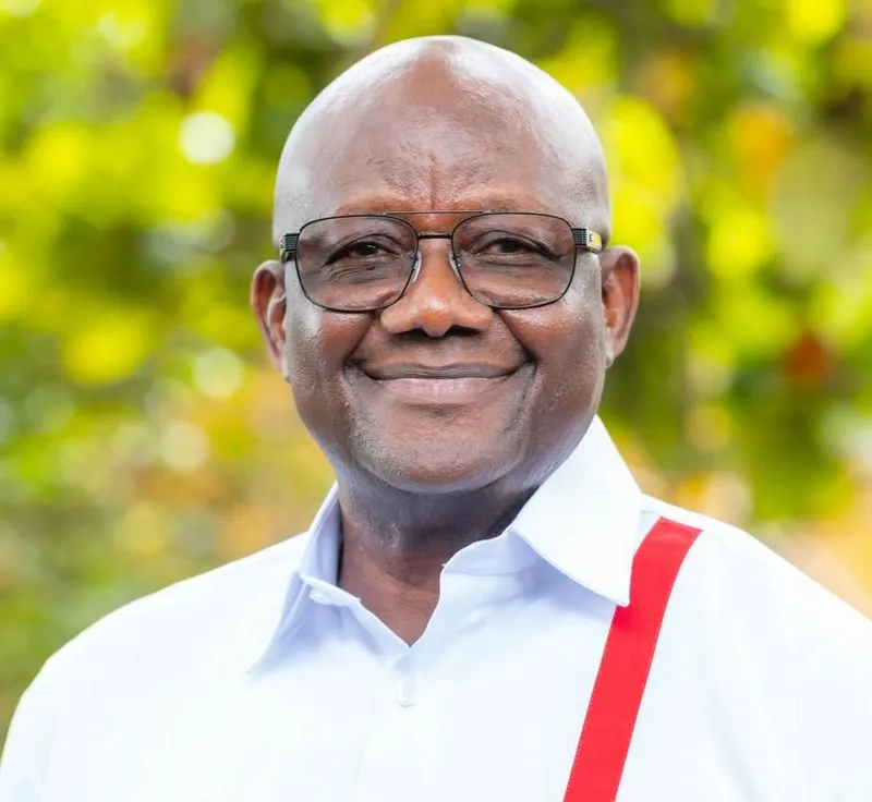 NPP needs Afoko to win election 2028 — Political Scientist
