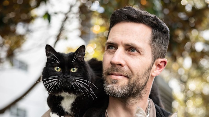 ‘Green flags’: What’s behind the growing obsession with men and cats?