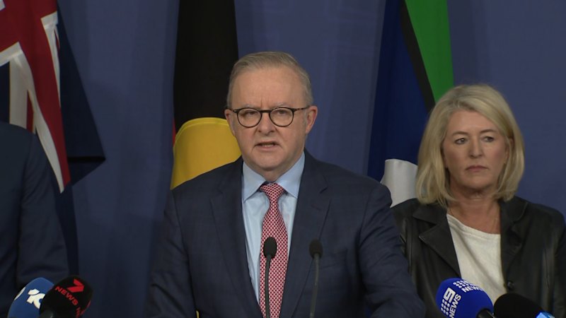PM, NSW Premier announce gun buyback scheme