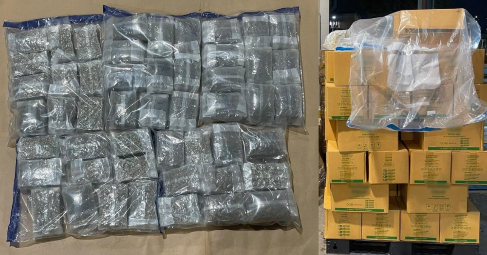 1,290 blocks of cannabis weighing around 391kg detected at Pasir Panjang scanning station