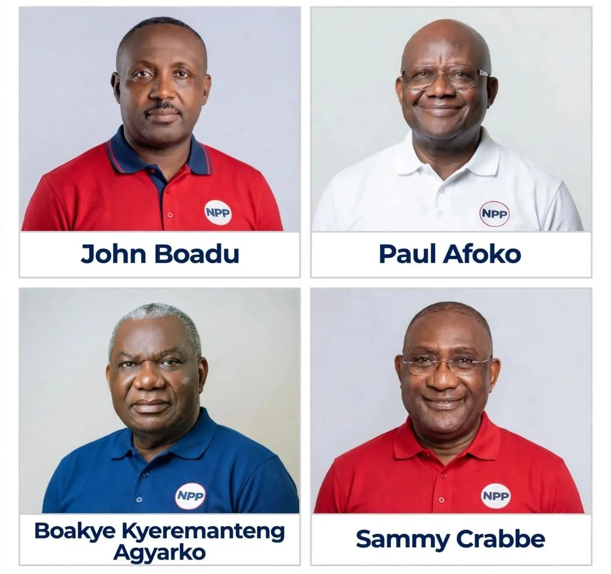 NPP Chairmanship race: Tale of the tape