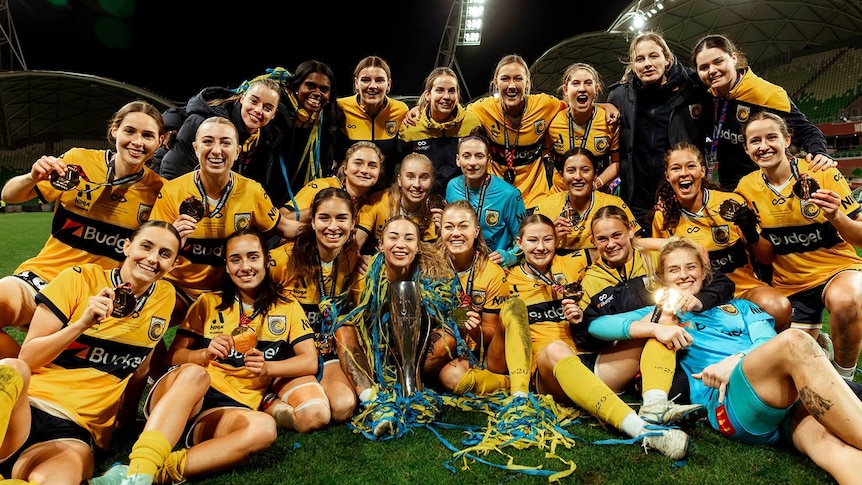 Wests Tigers owners throw financial lifeline to women's A-League team