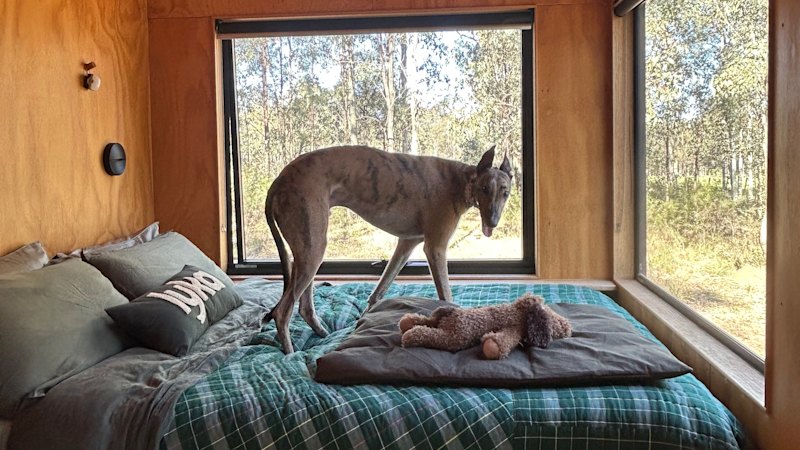 I used to think having a dog would make travel more difficult. This weekend changed that