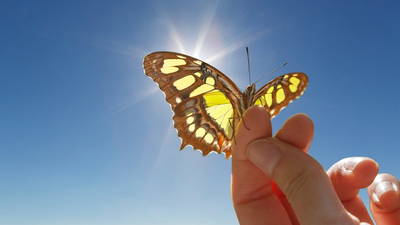 When I criticised this self-help technique to my friends, I found myself in the minority
