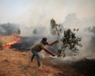 Price of olive oil expected to rise again as European crops feel the heat