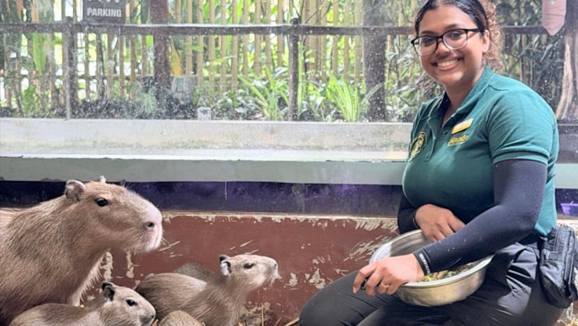 Meet a 25-year-old third-generation zookeeper whose family has worked at the zoo since it opened 53 years ago
