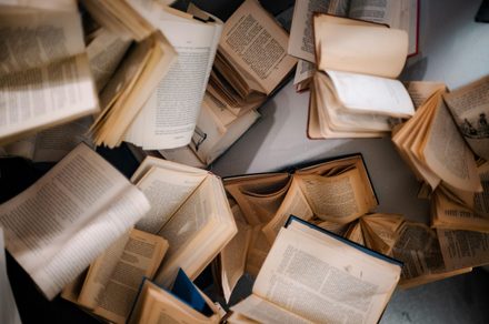 AI companies may be gobbling up old books, and I really hope they aren’t destroying them