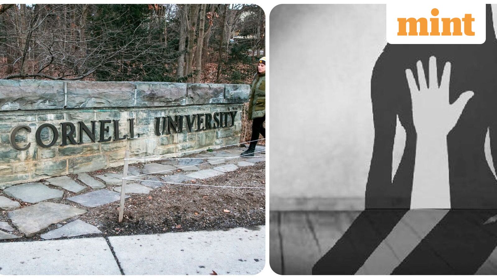 Cornell University president vows 'rigorous' probe in gangrape case, shares new video: 'My heart aches'