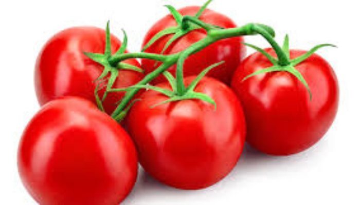 Tomato Jos secures $2.5m AgriFI investment to scale climate-smart production