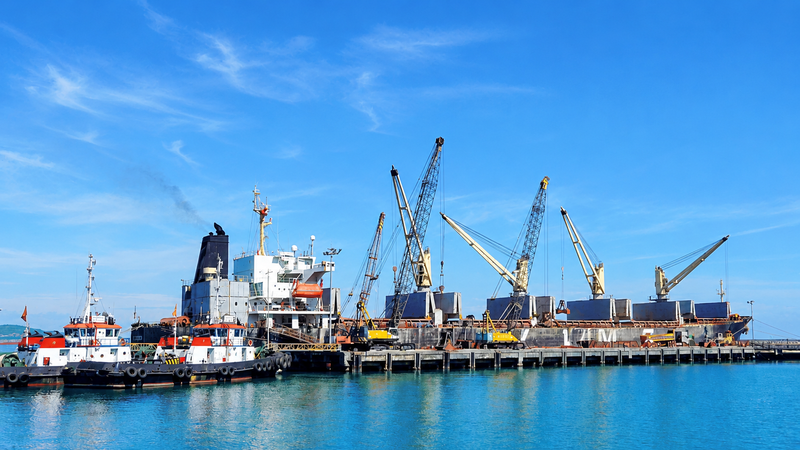 Connected seaport ecosystem key to unlocking Vietnam’s maritime potential