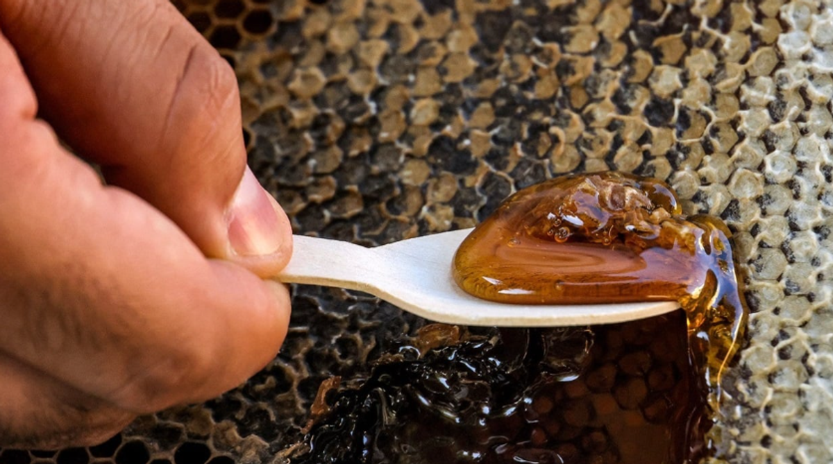 Honey not safe for everyone, expert warns of potentially fatal risks