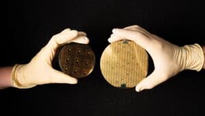 YMTC, the Company that Would Not Die