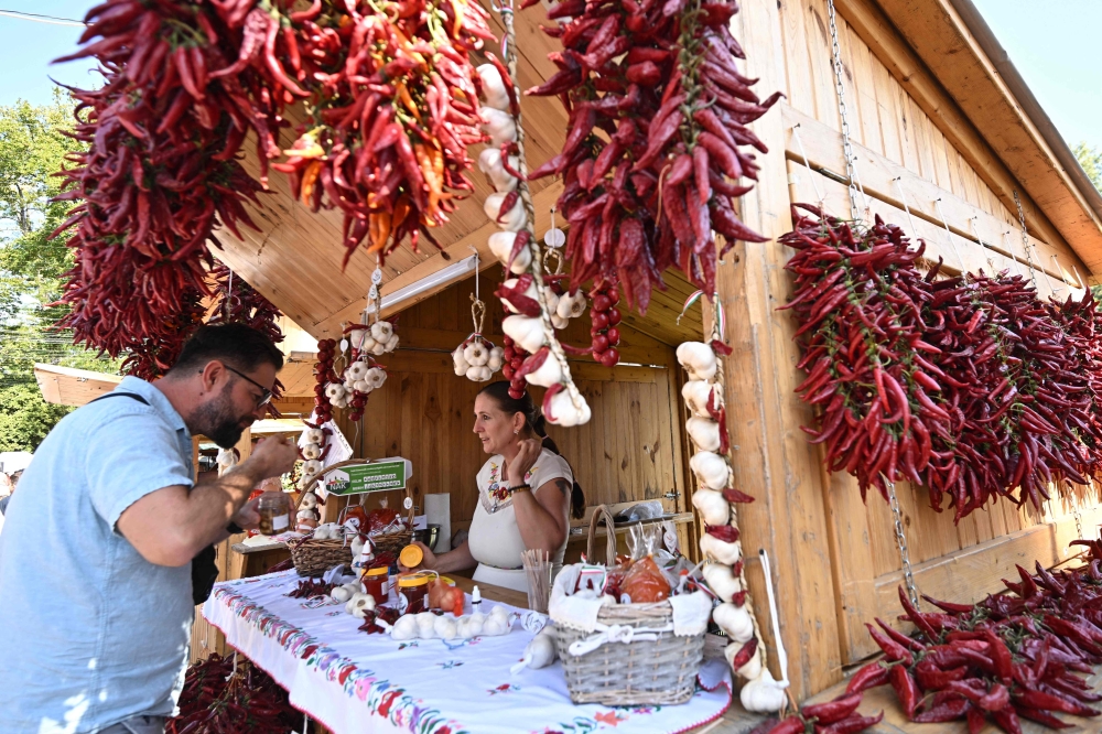 Hungary’s paprika farmers face a hotter, drier future as climate change squeezes a culinary tradition