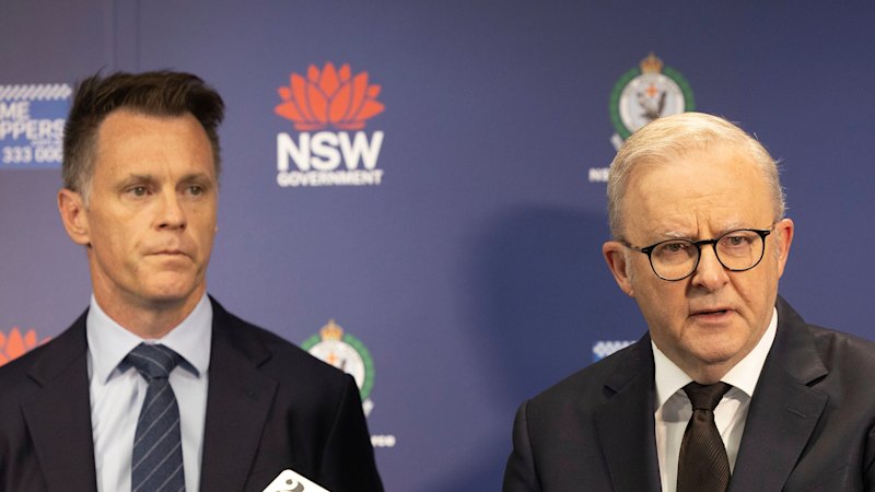 Coalition slams ‘failed’ gun buybacks as Albanese vows to push on