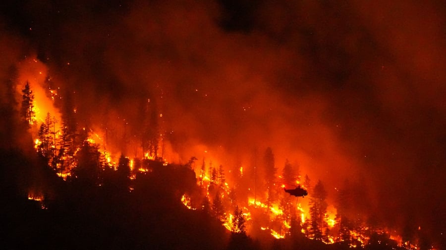 Klimafolgen: Je schneller Wälder brennen, desto intensiver brennen sie