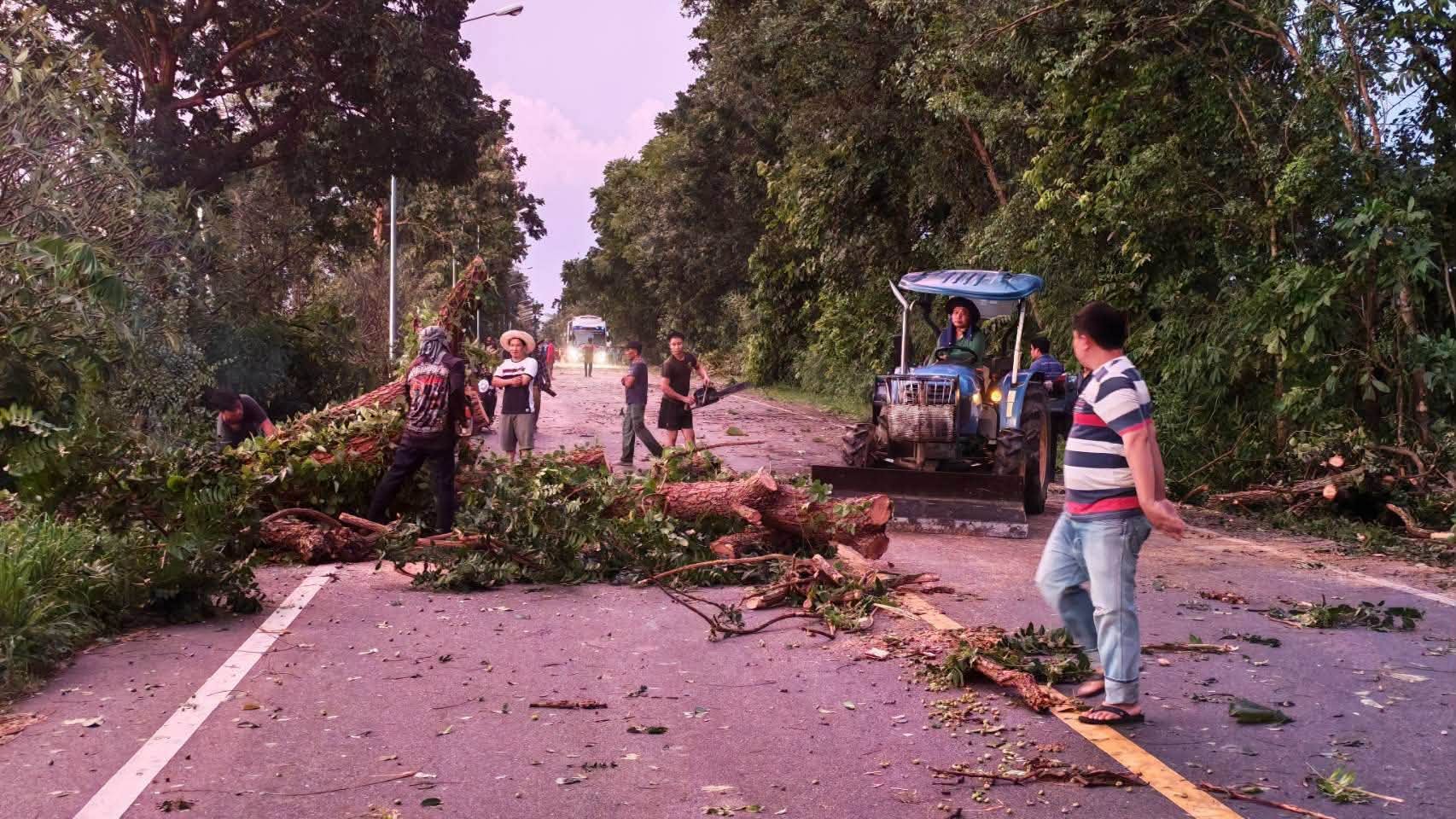 Severe Weather Strikes Chiang Mai, Fallen Trees Block Highway