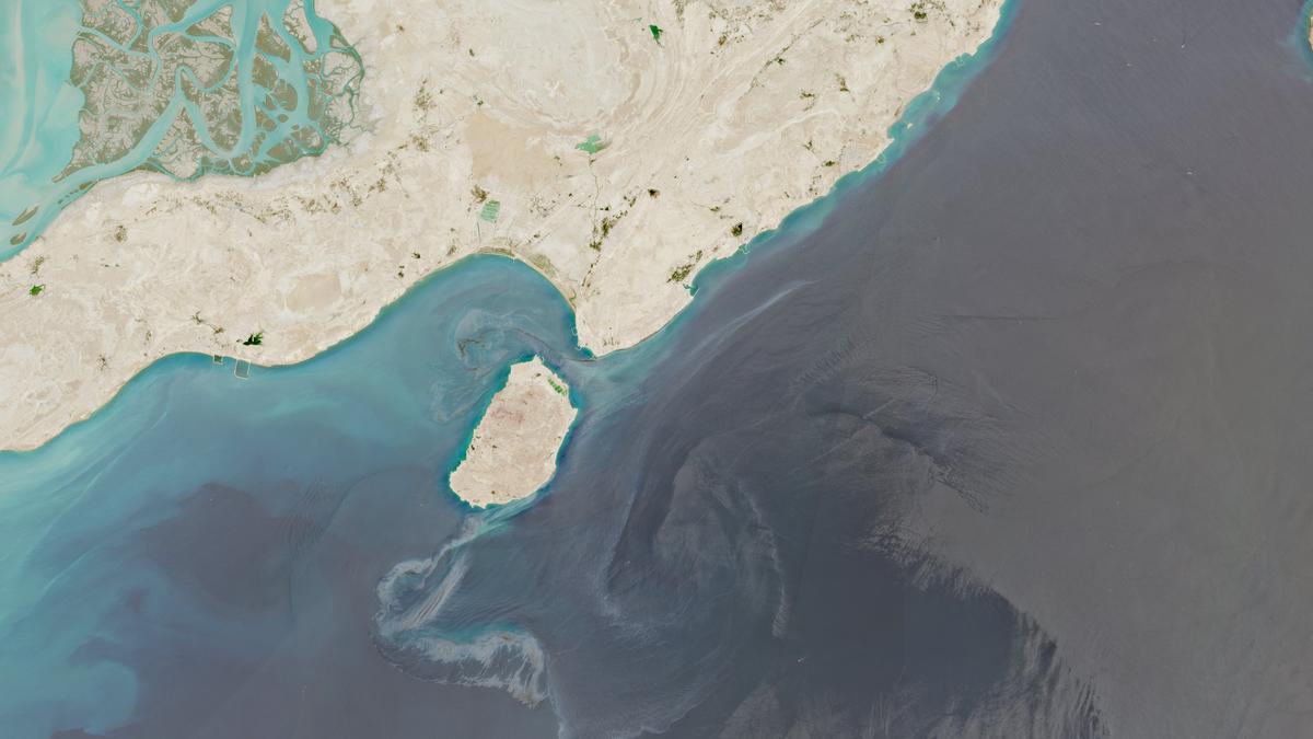 Major oil spill threatens Hara mangrove forests in Persian Gulf