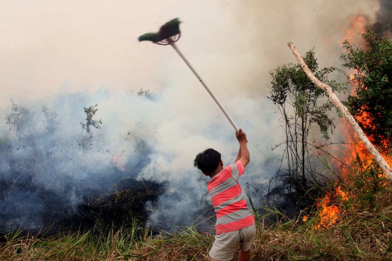 What disasters will El Niño bring over the next year?
