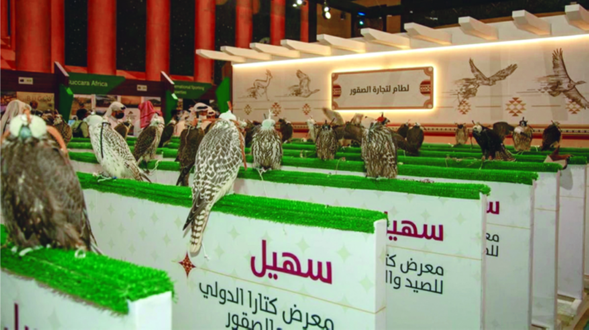 AI and 3D modelling come to Qatar’s falconry season