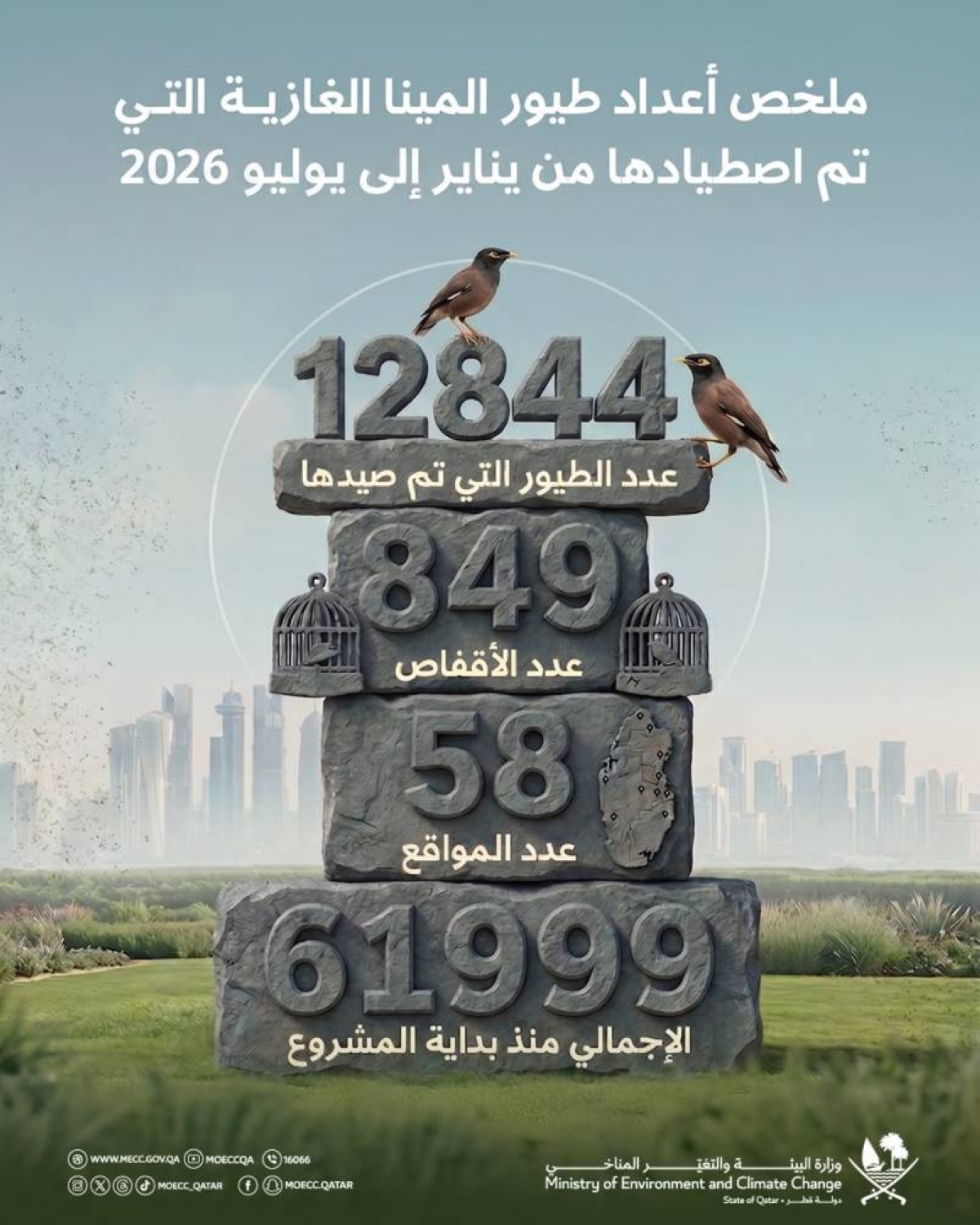 Over 60,000 invasive myna birds captured since project launch