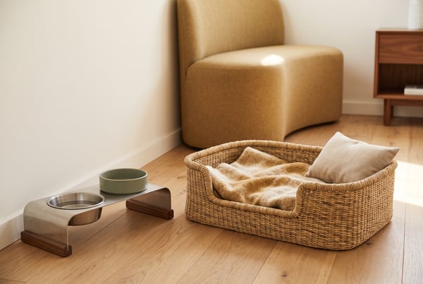 A first-time pet owner's checklist before adoption day