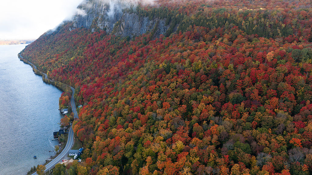 When Is the Best Time to See Peak Fall Foliage?