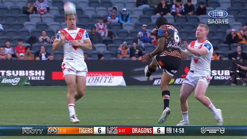 Couchman cops brutal falcon