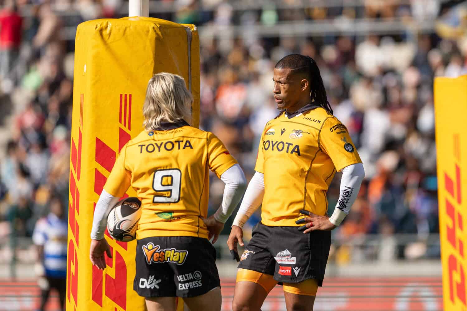 Cheetahs now have wounded Bulls in their sights