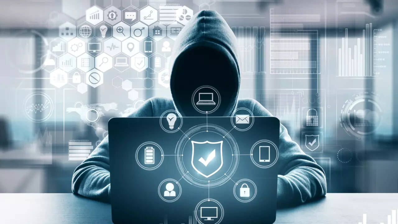 US takes risky bet on private 'pirates' to combat cybercrime