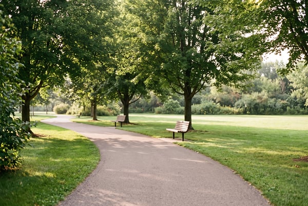 The U.S. cities with the best park access for exercise